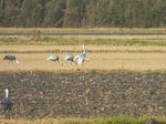 1201041433.jpg