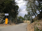1203241333.jpg