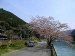 1204081043.jpg