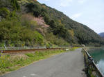 1204081058.jpg