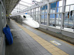 1204291417.jpg