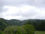 1205041233.jpg