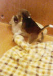 100_0012.JPG