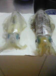 200706242219000.jpg