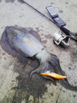 200707211718000.jpg