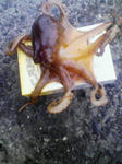 200707211130000.jpg