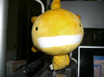 20080213.jpg
