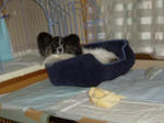 IMGP3751_400.jpg