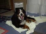 IMGP3752_400.jpg