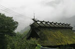 IMG_3155_400.jpg