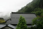 IMG_3156_400.jpg