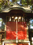 4f56a4d9.jpg
