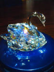 DSC00679.JPG
