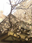 DSC00685.JPG