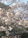 DSC00837.JPG