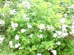 DSC01117.JPG