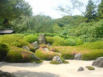 DSC01183.JPG