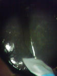 DSC01269.JPG