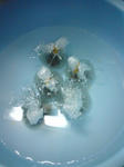 DSC01277.JPG