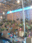DSC01299.JPG