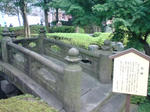 DSC01303.JPG