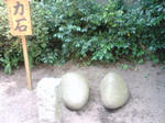 DSC01355.JPG