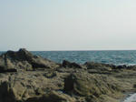 DSC01461.JPG
