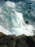 DSC01464.JPG