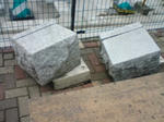 DSC01666.JPG