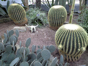 20070926-1.jpg