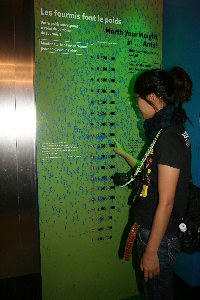 20070926-10.jpg