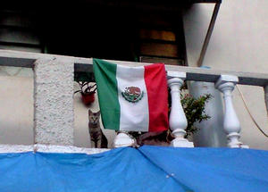 20071002-2.jpg