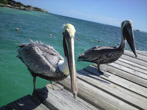 20071003-4.jpg