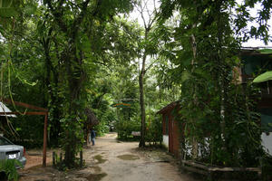 20071017013.jpg