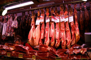 sanjosep03.jpg