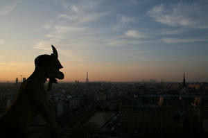 notre01.jpg