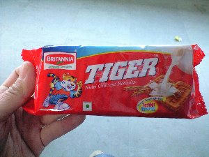 2007021703.jpg