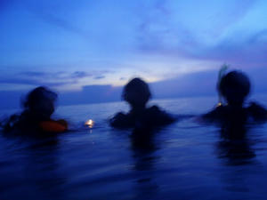 diving04.jpg