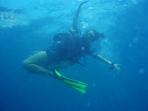 diving10.jpg