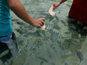 thai00000011.jpg