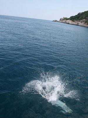 thai00000024.jpg