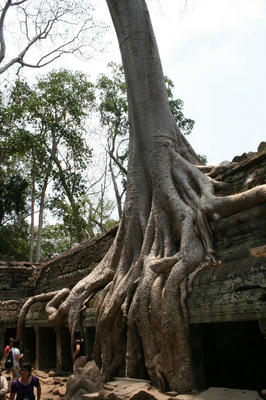 angkor007.jpg