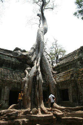 angkor009.jpg