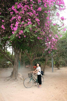 angkor012.jpg
