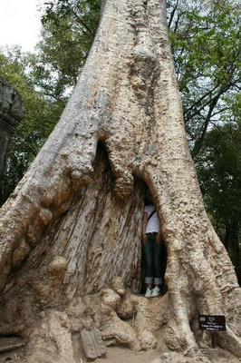 angkor1001.jpg