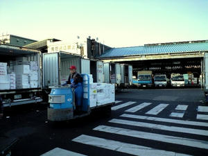 tsukiji06.jpg