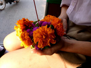 P1000441.jpg