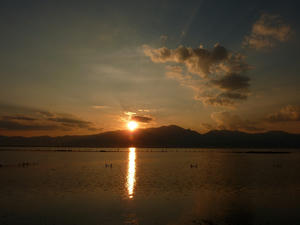 P1010059.jpg
