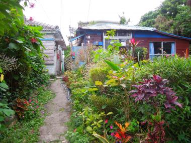 無題 琉球ガーデニング