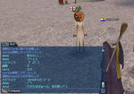 mel028.JPG